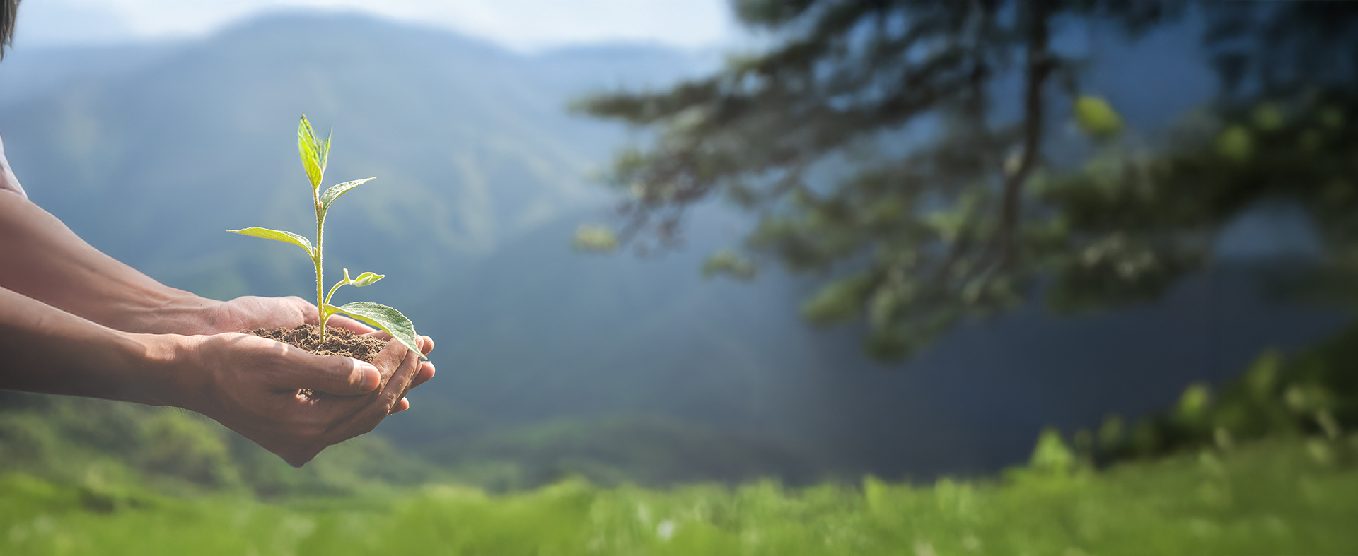 Concept of environmental conservation in the garden for children.