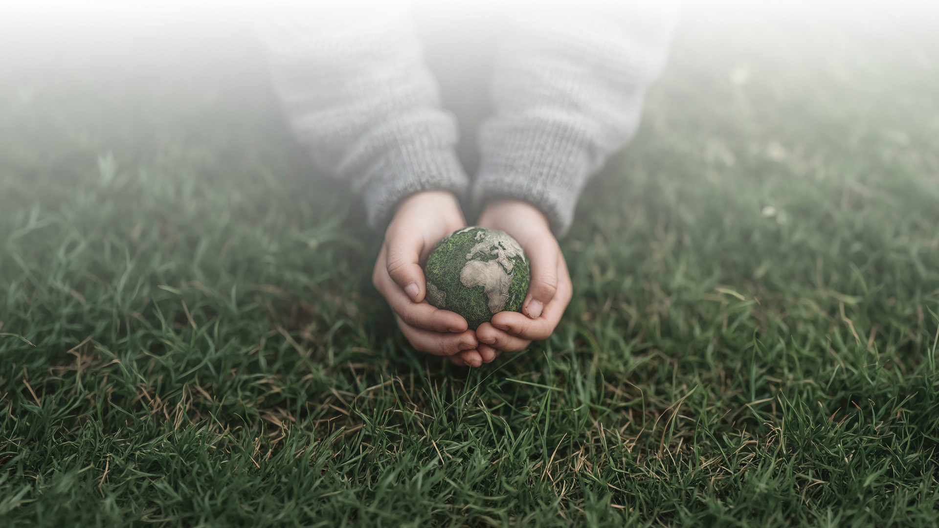 environnement