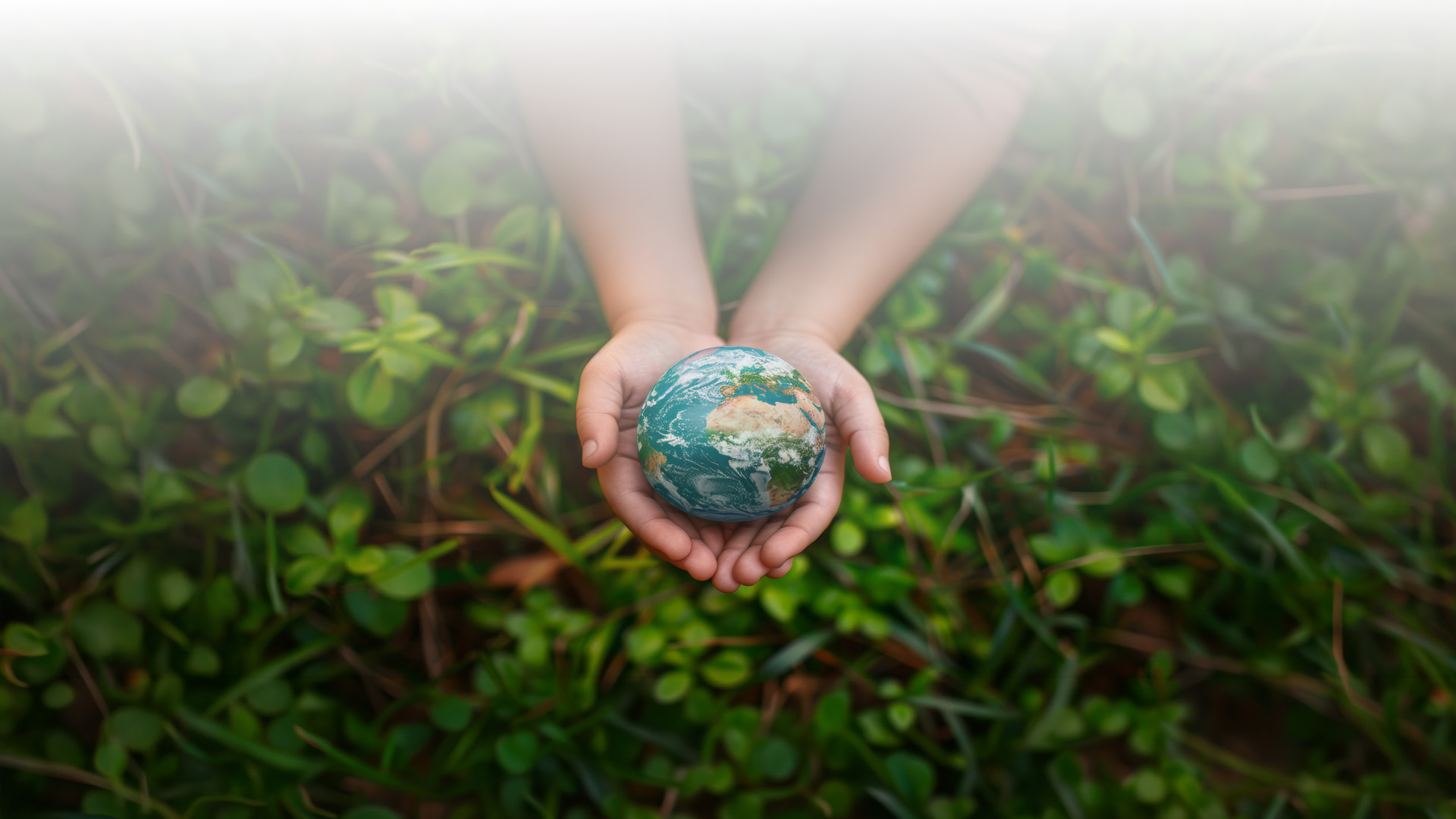 environnement